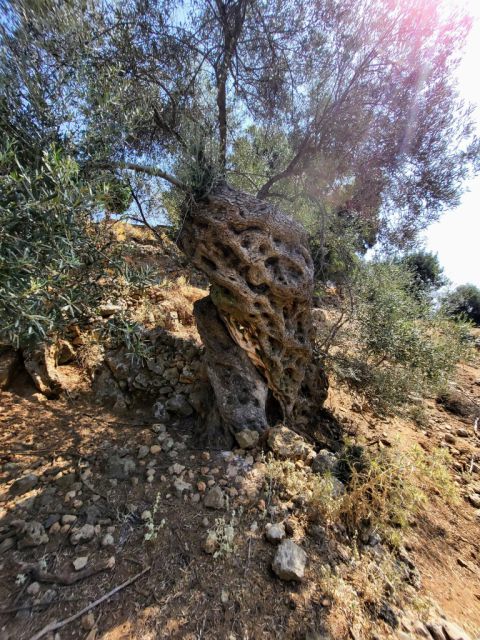 West Kreta — foto 104