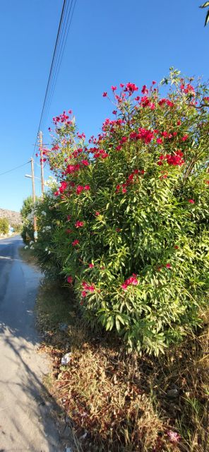 West Kreta — foto 58