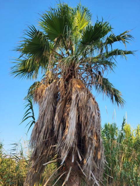 West Kreta — foto 135